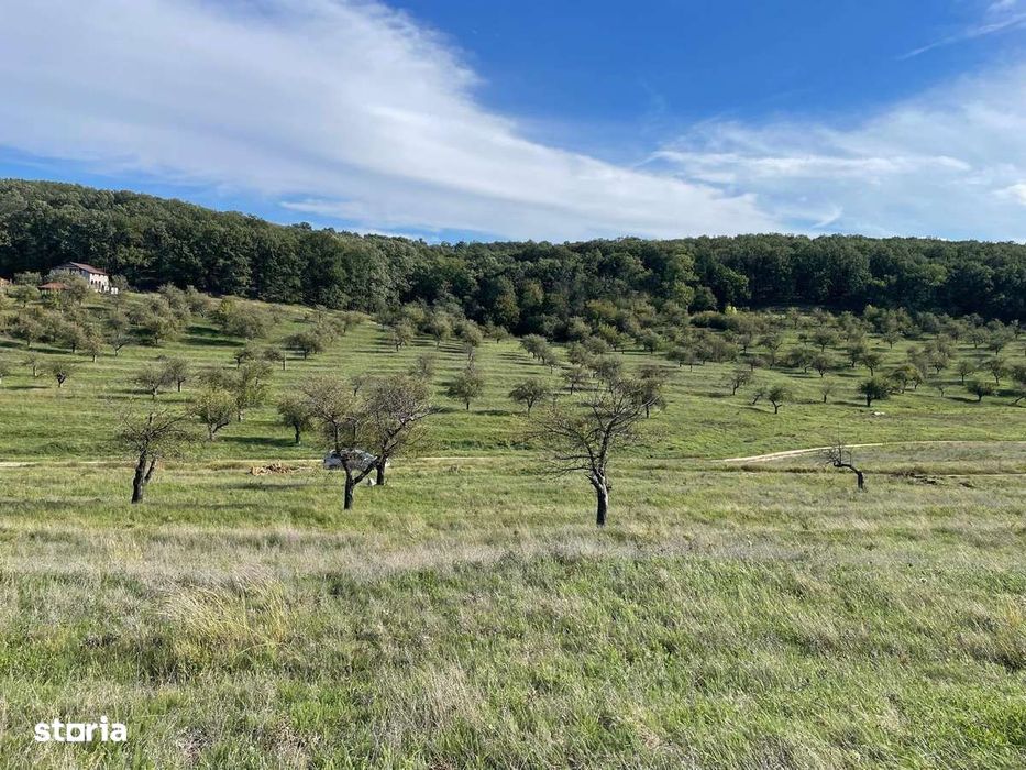 Teren intravilan Predesti Valea Merilor