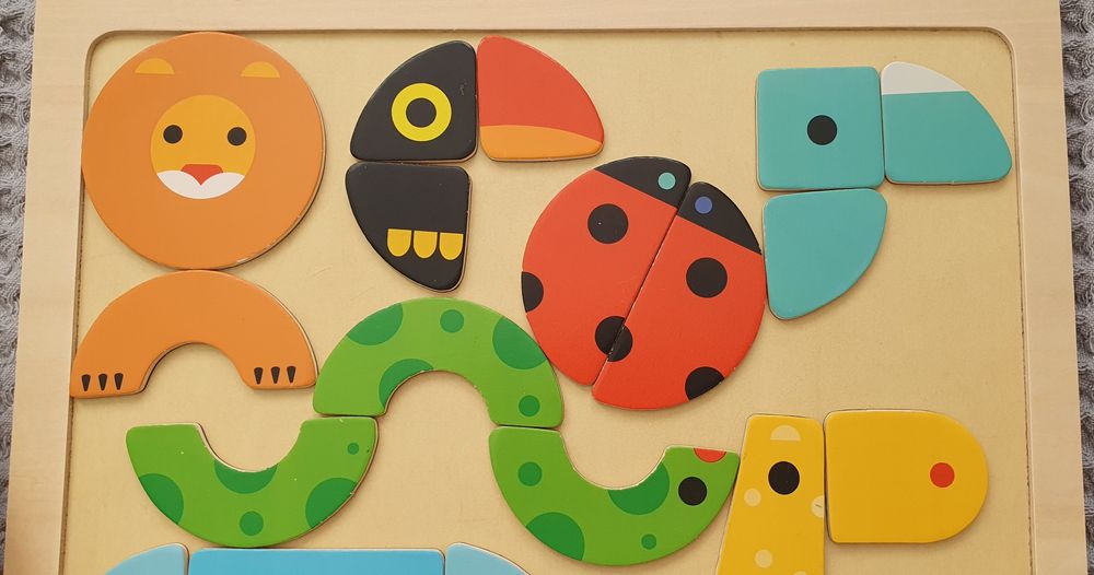 Магнитная игра Djeco basic