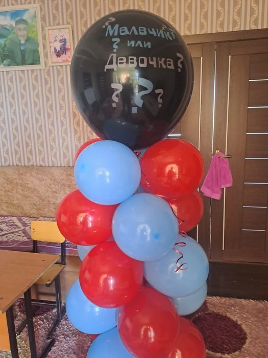 Мальберт на прокат