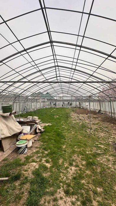 Теплица в отличном состоянии