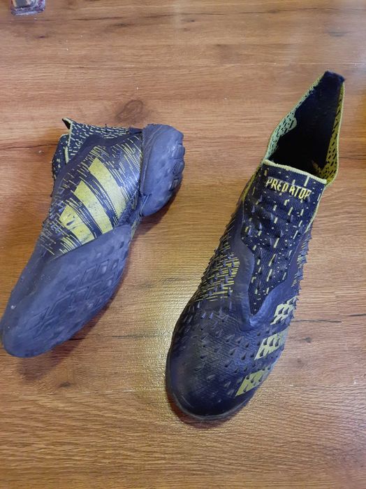 Сороконожки предатор