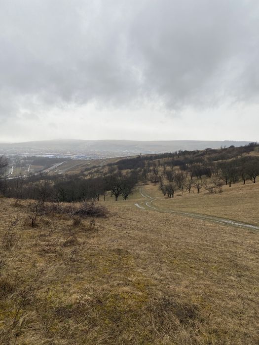 Teren Intravilan Mos Ion Roata