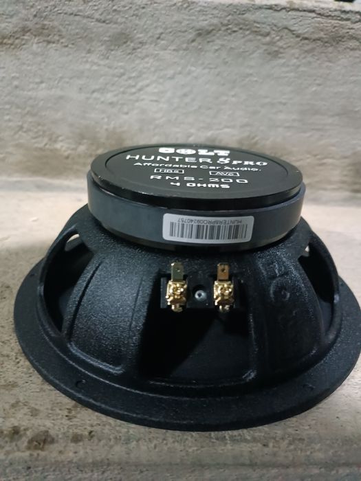 Estiradnik kalonka Gold hunter