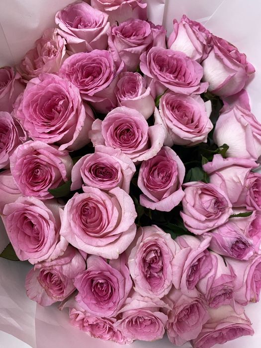 букет роз 35 штук