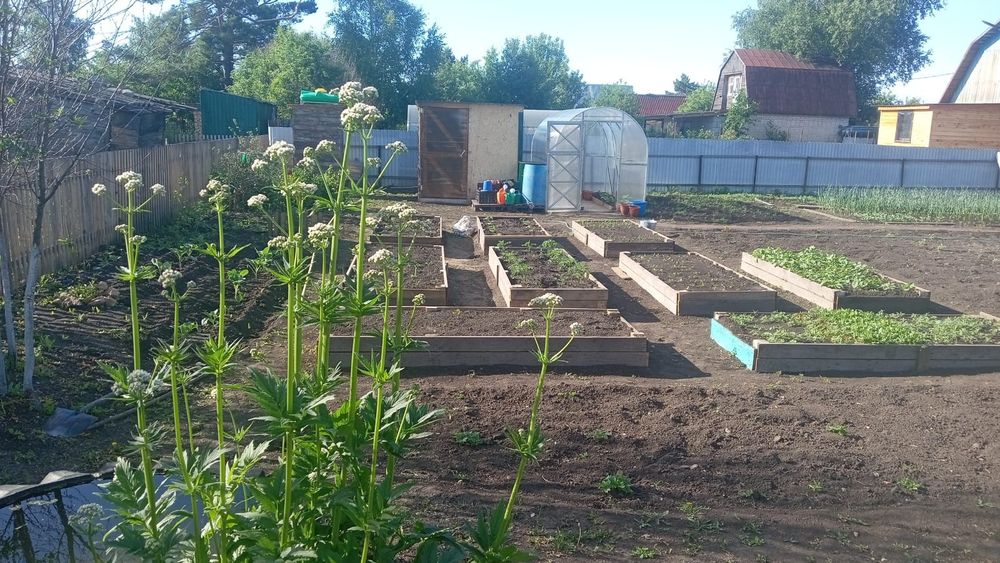 СРОЧНО! Продам дачу. с/о Тихая роща.