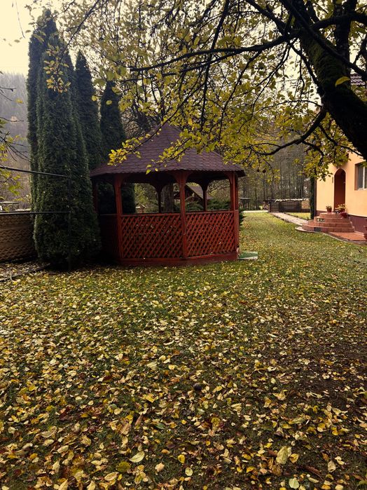 Cabana Insieme Apuseni