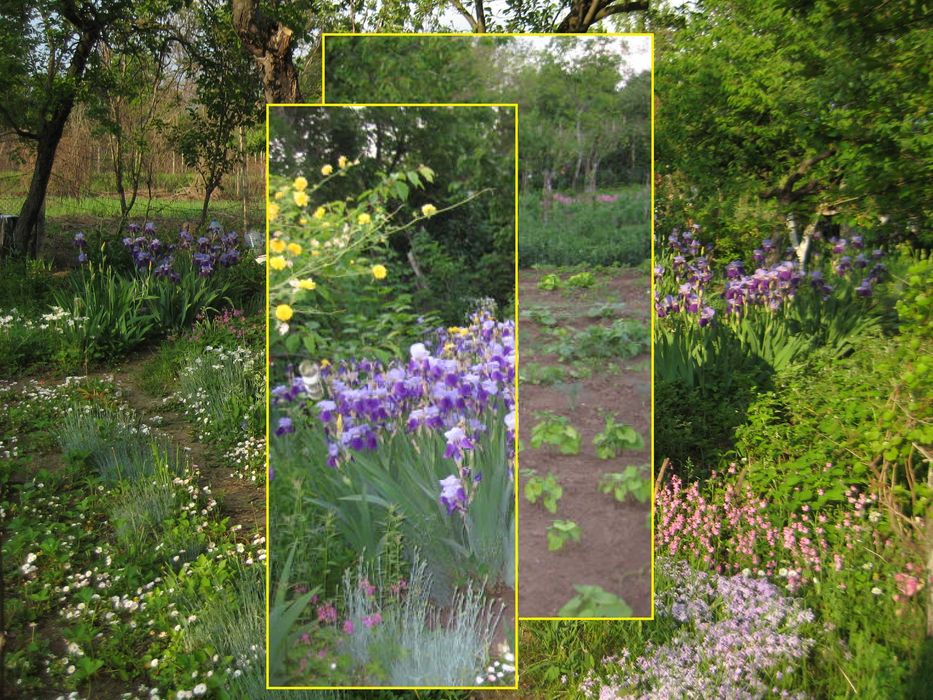 Продава се парцел в местност "Арменски Лозя"