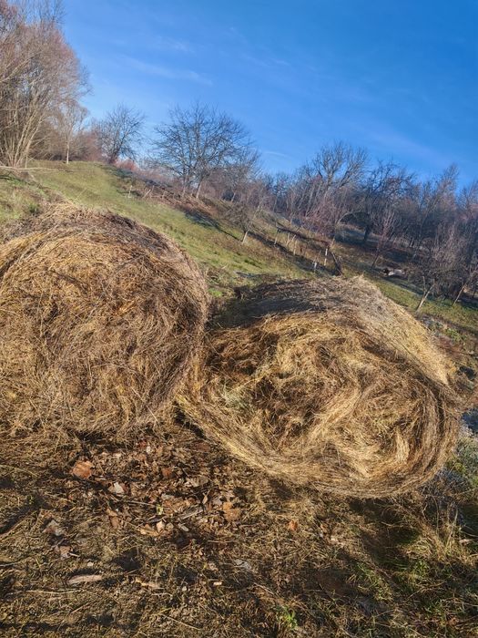 Baloti FAN 2025 ofer transport la cerere 160x120