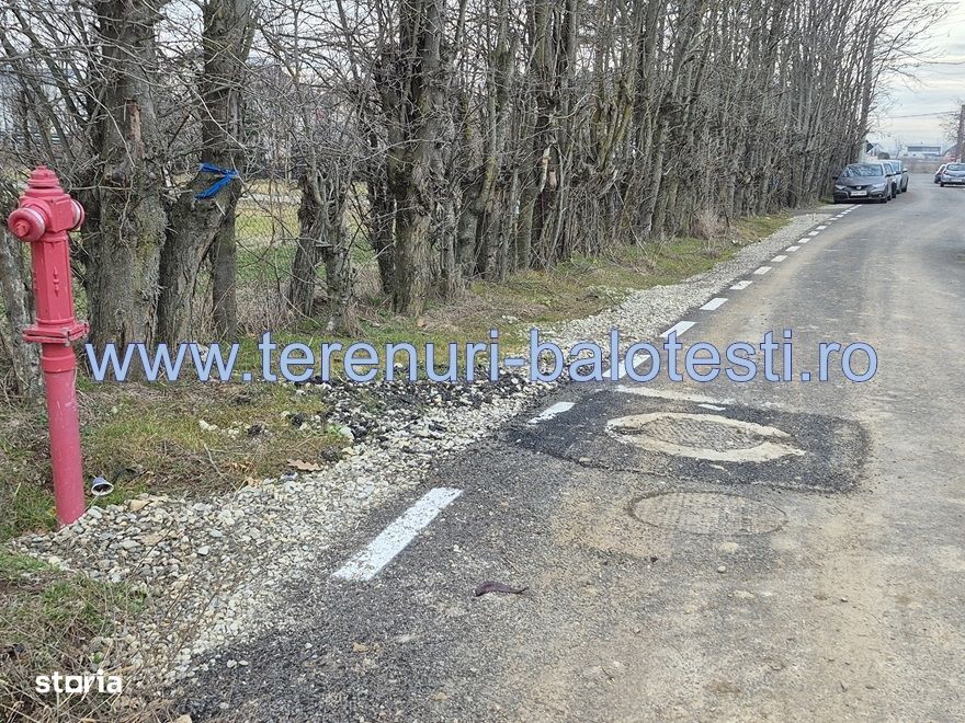 Vanzare teren Balotesti,apropiere Dn1 si sens giratoriu, pr
