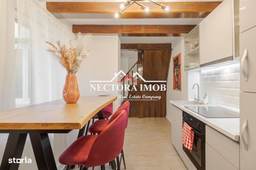 NECTORA IMOB-Casa Ultracentrala Teatru/Piata Unirii, Mobilata/Utilata