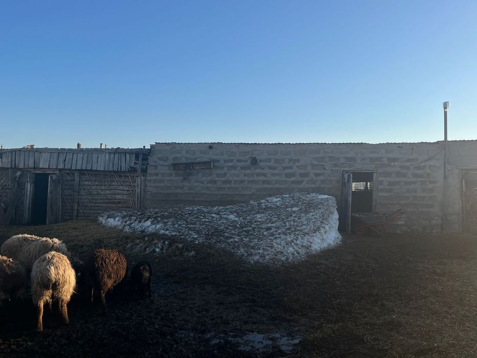 продается дом в селе