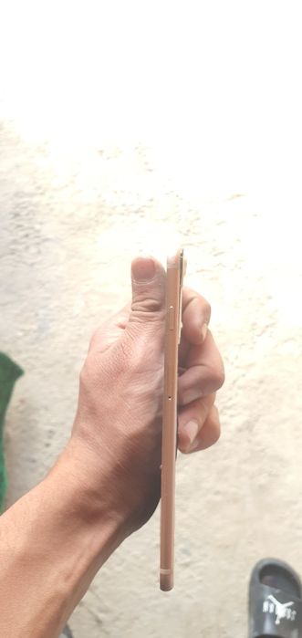 Ayfon pilata sotiladi