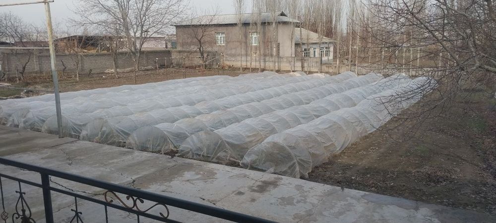 Тайер уй жой участкаси 17сотихли хамма шароитлари мавжуд