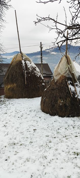 De vînzare fîn și otavă .