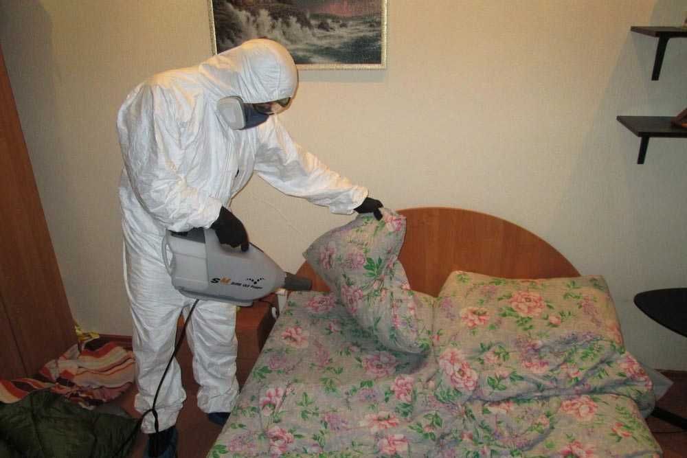 Дезинфекция Dezinfeksiya 24/7 обработка клоп, таракан, запахи Dez-5