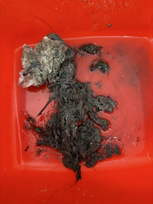 Servicii profesionale de desfundat tevi si canalizare-Timisoara