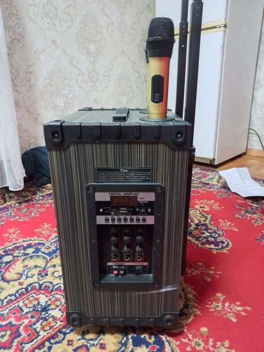 Калонка музыкальная