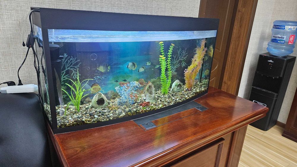 AKVARIUM sotiladi