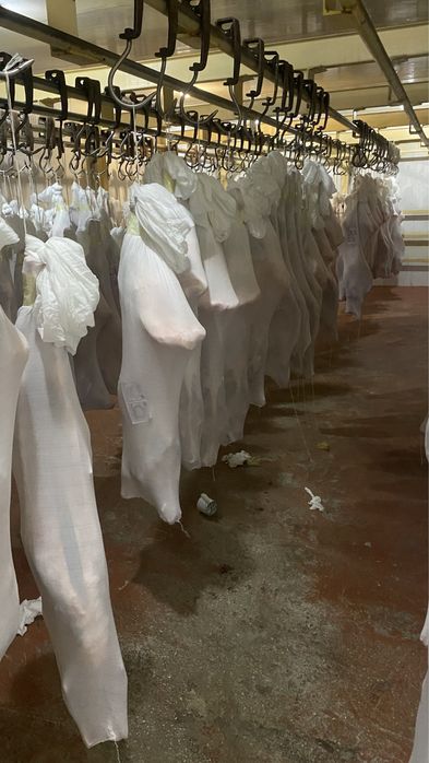 Кафан, саван или ткань для обматование туши