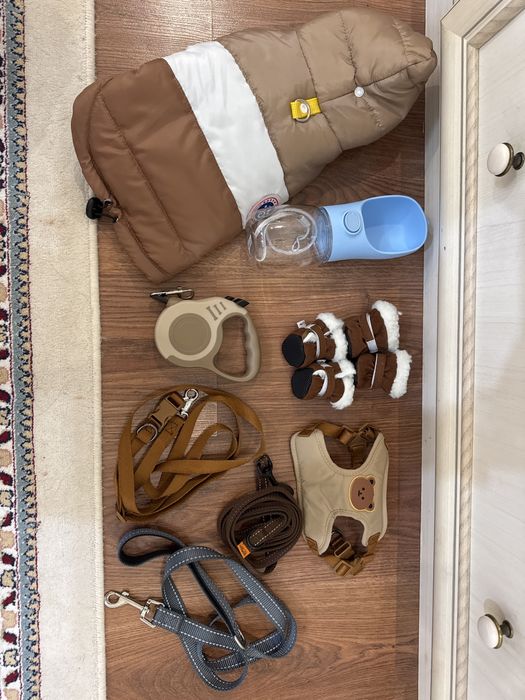 Готовый набор для собаки