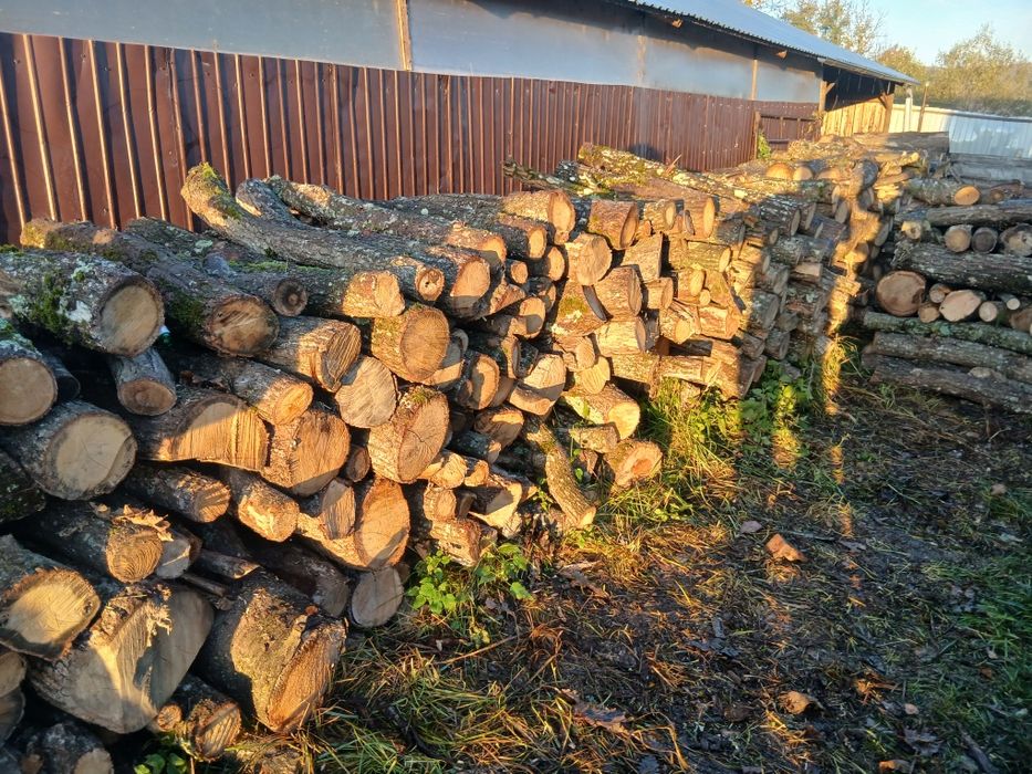 Lemne de foc csrpen acati