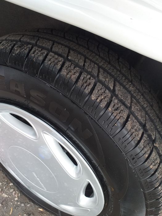 Дамаз Damaz 2025