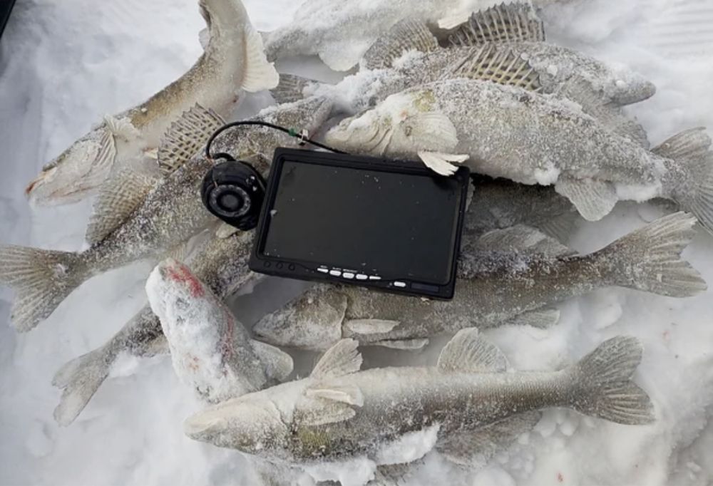 Камера для рыбалки Focus Fish