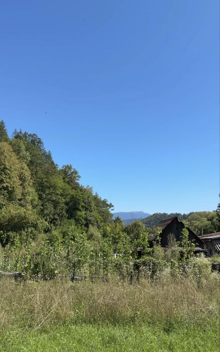 Vând Teren Intravilan 6710 mp în Tulgheș, Harghita