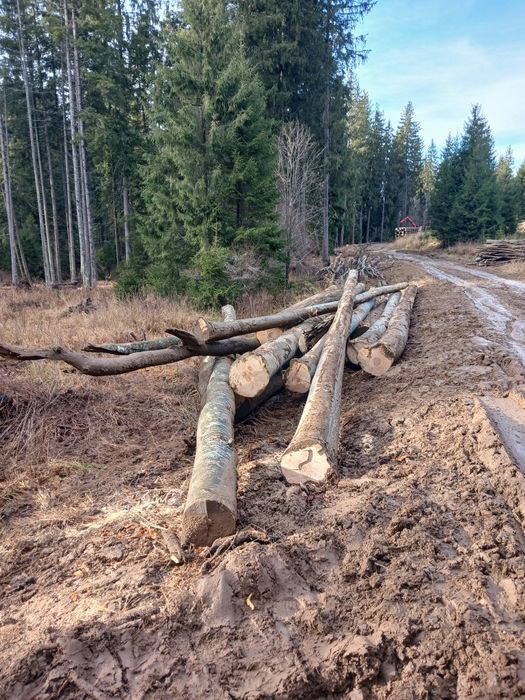 Vand bustean gater fag