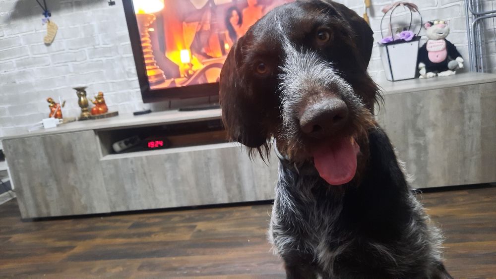 Ищем невесту для парня.