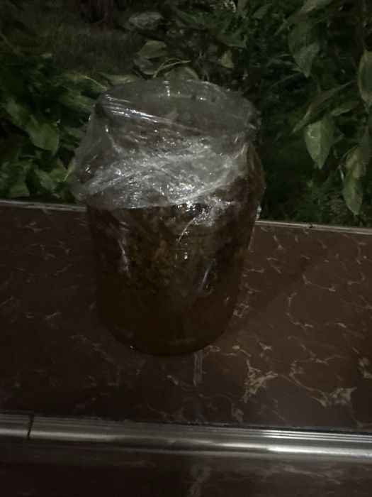 Нарезка чистого писканкого мёда