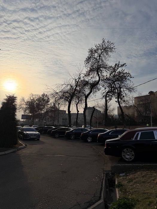 Raddom To’yga kartej