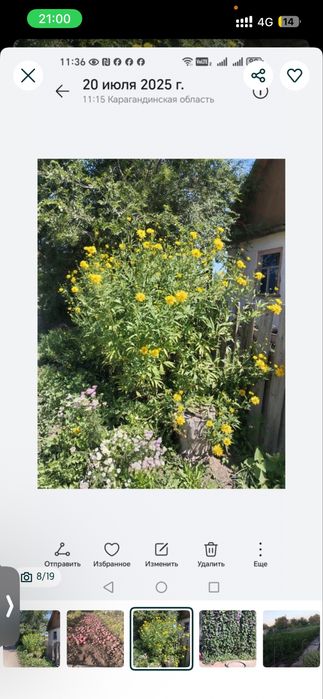 Продается дача. Д/О Черемушки