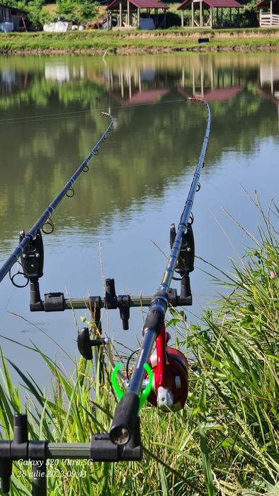 Combo feder dome gabor