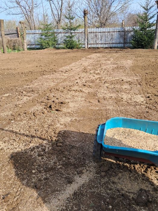 Ingrijire spații verzi, toaletare arbori, tundere gazon, Piatra Neamț