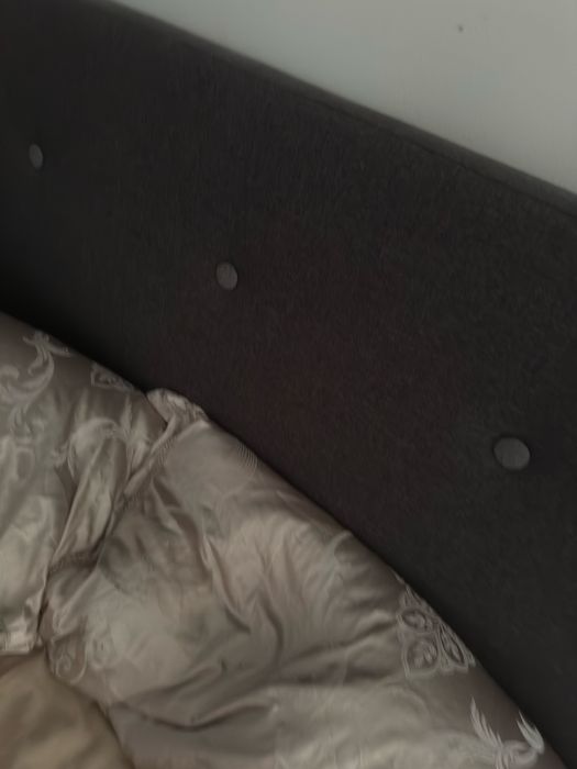 Pat jisk stare foarte buna