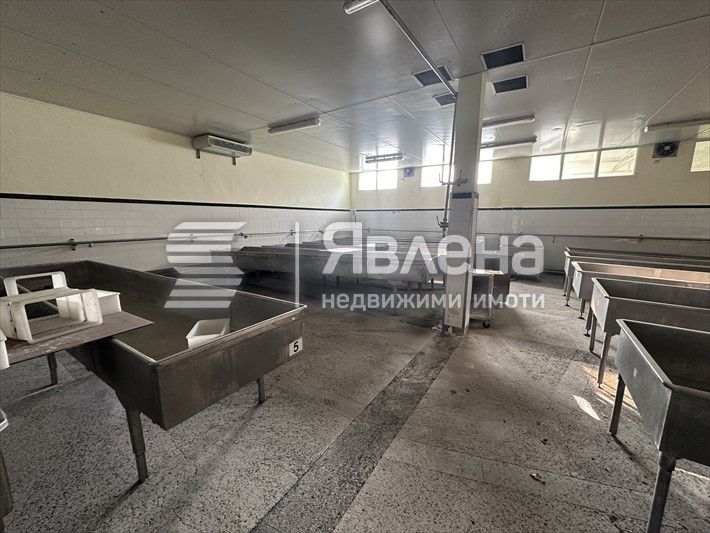 Продава се Склад в Добрич, Рилци - 1976 кв.м за 302 €/кв.м - Снимка #5