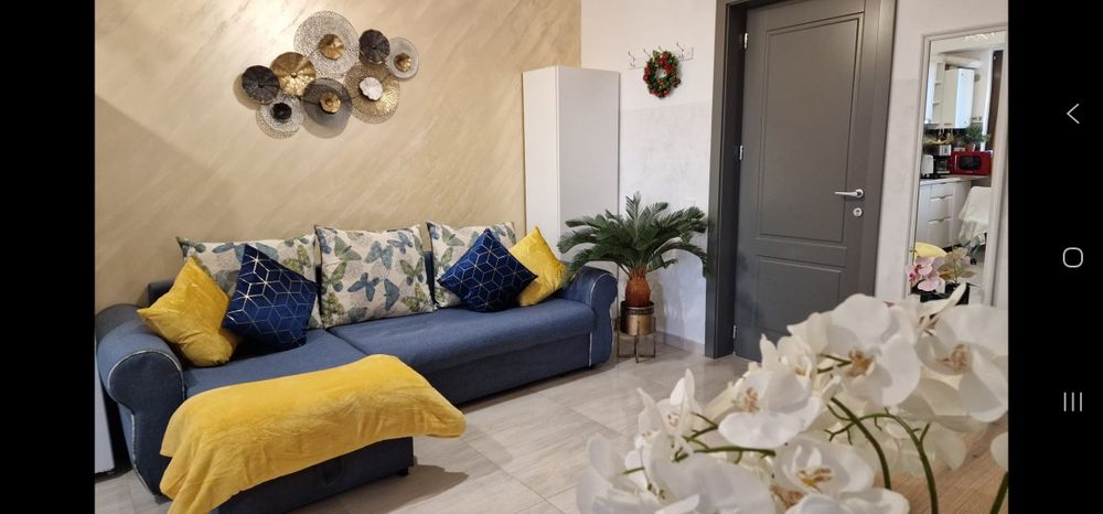 Cazare Apartamente 1-3 camere zona Palas Mall