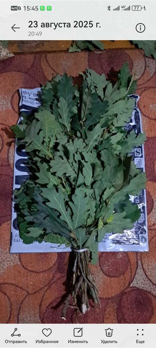 Продам Березавые веники есть масло пихтовое