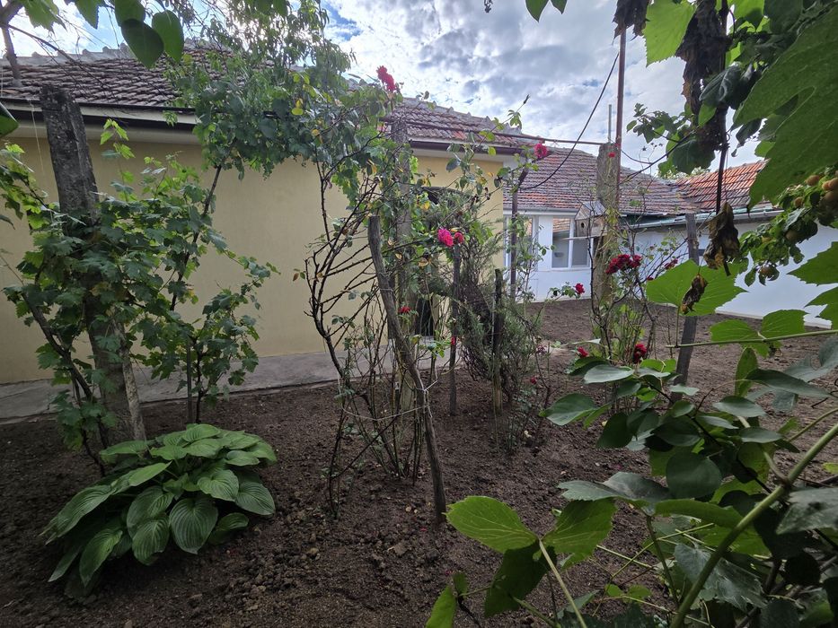 Inchiriez casa Mosnita Noua