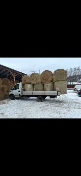 Lucerna Infoliat/baloti de fan/balot rotund/baloti mici