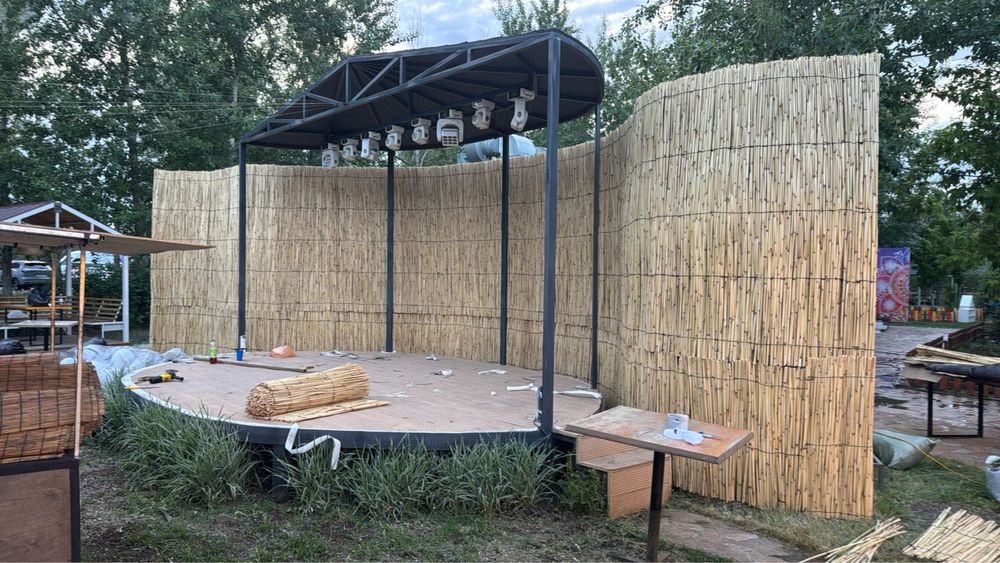 Декоративный камыш !