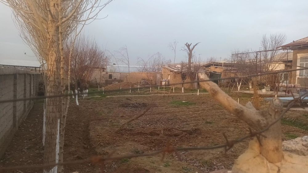 Quruq yer  sotiladi uchastkaga