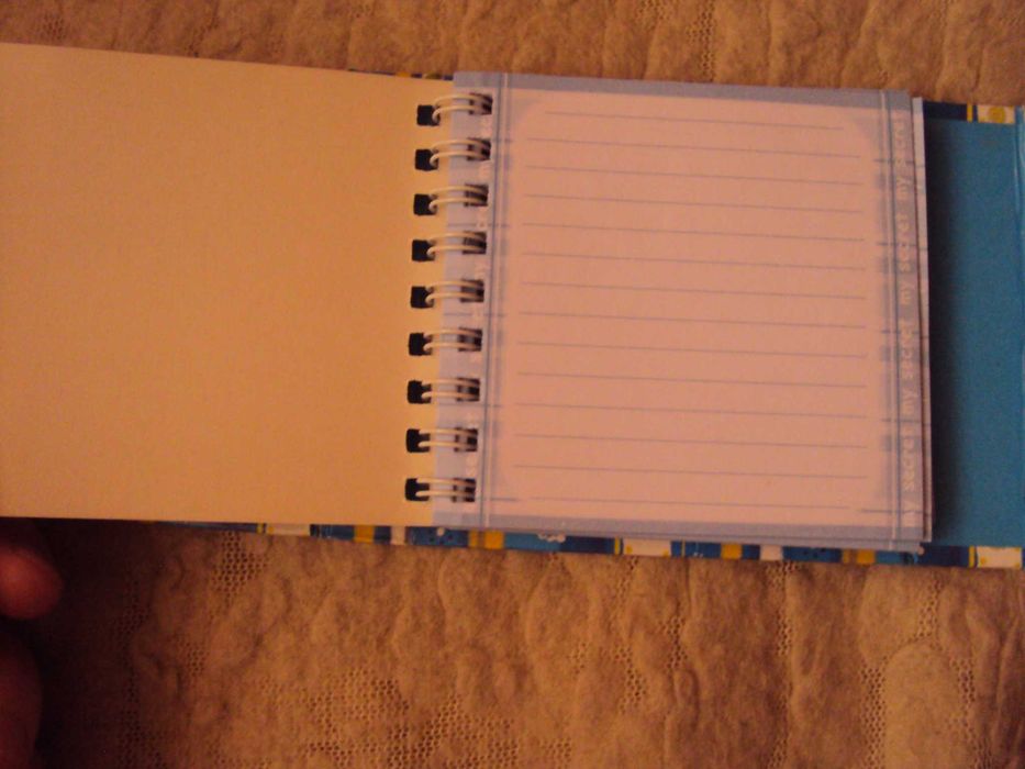 Мини-дневничок для девочки.