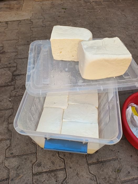 Vând telemea proasta de vacă