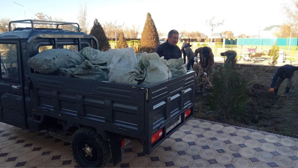 Муравей трицикл мотоцикл электровелик