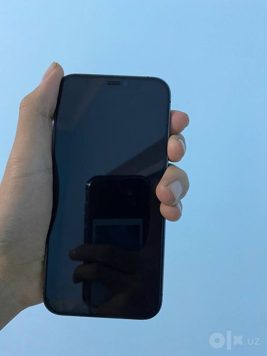 iPhone 12 Pro apple