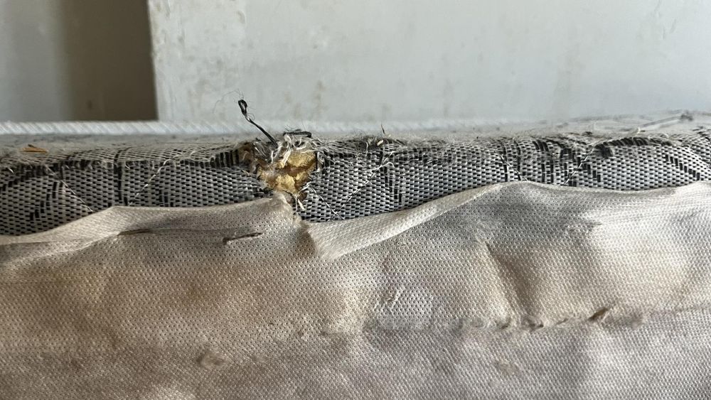 Матрак еднолоцев