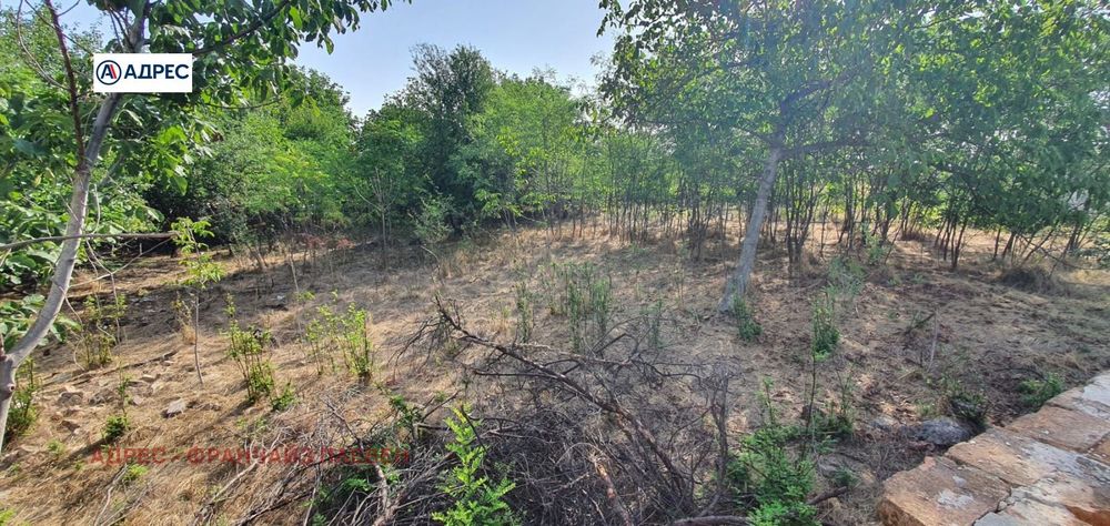 Продава се Къща в с. Върбица, Област Плевен - 150 кв.м за 146 €/кв.м - Снимка #1