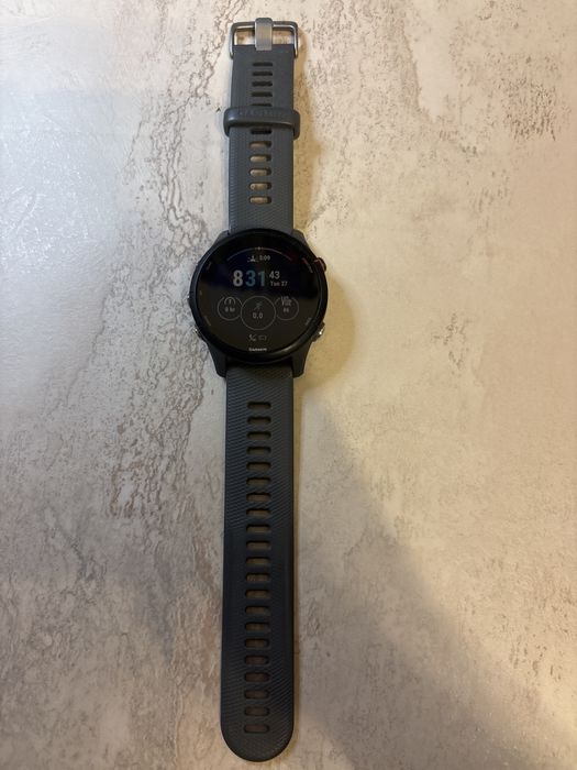 Garmin Forerunner 255